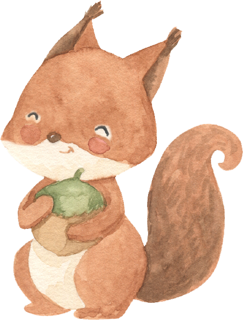 Wandsticker Aufkleber Eichhörnchen