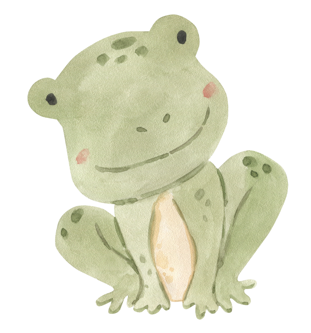 Wandsticker Aufkleber Frosch