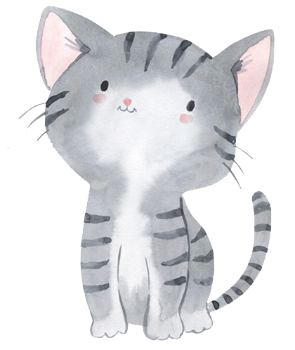 Wandsticker Aufkleber Katze