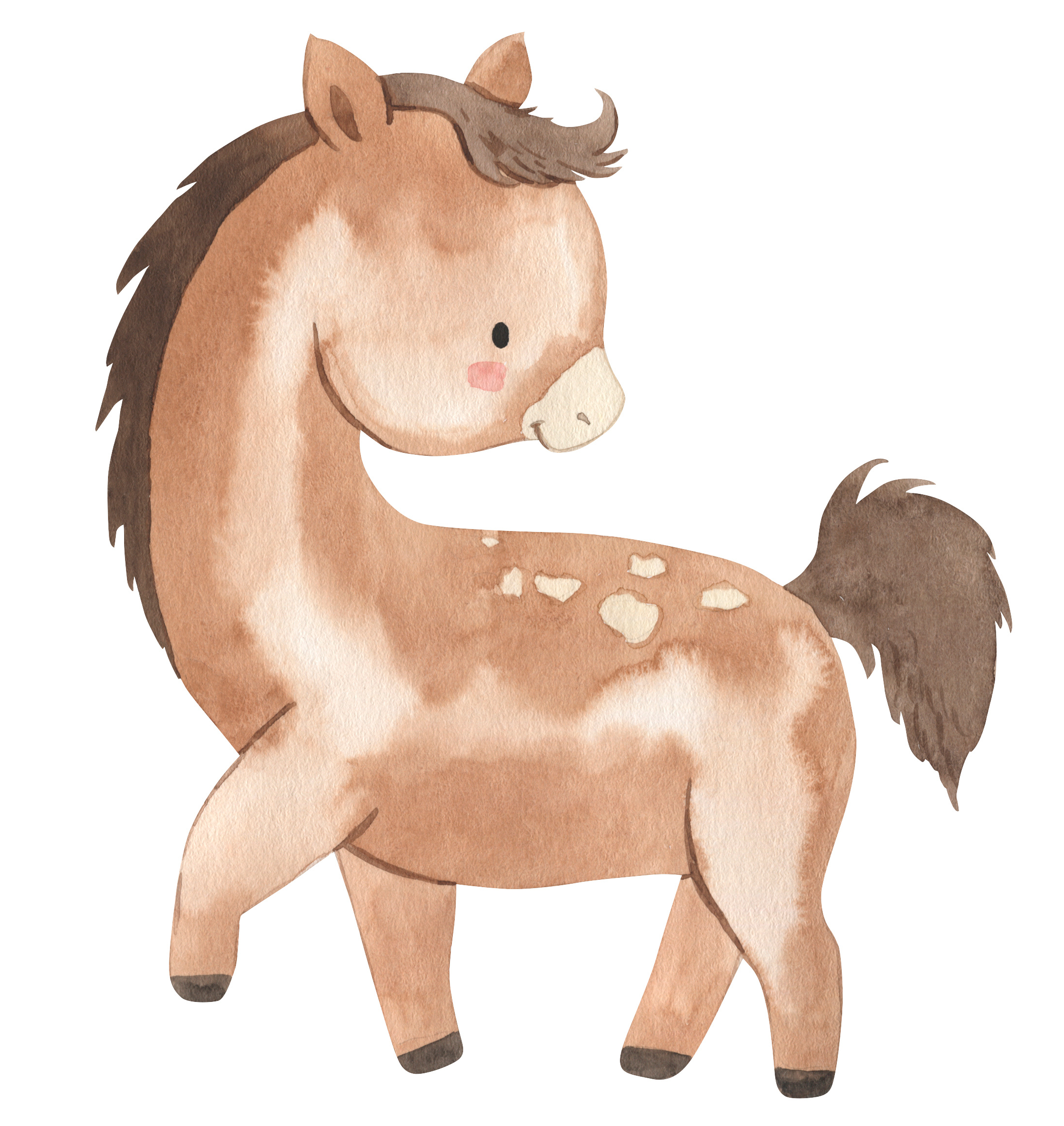 Wandsticker Aufkleber Pony