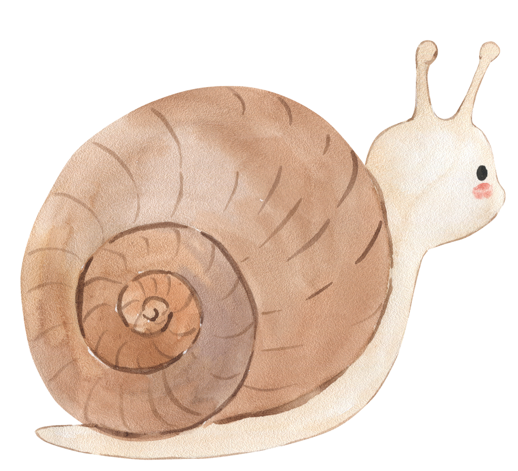 Wandsticker Aufkleber Schnecke