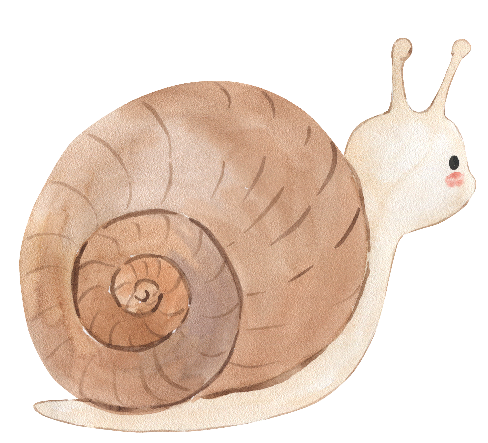 Wandsticker Aufkleber Schnecke