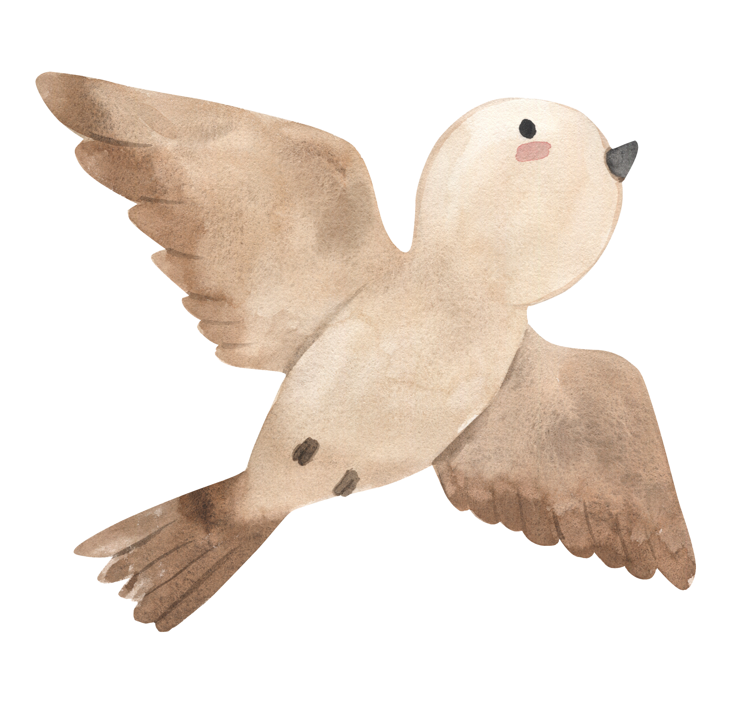 Wandsticker Aufkleber Vogel